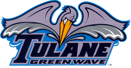 Tulane Green Wave 1998-Pres Alternate Logo v2 DIY iron on transfer (heat transfer)